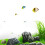 Aquarium Décoration Durable 4
