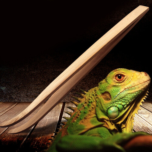 3Stk Holzzange Für Haustierfütterung Khaki Reptilien Sicher Bedienen 1