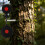 Cible Spinner Double Acier Entretien Gratuit Usage Jardin 7