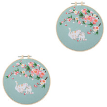 2Ensembles Kit De Broderie Pour Adultes Fil De Coton Coloré DIY