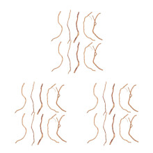 60Pcs Driftwood Sticks for Aquarium Freshwater Branch Decoration