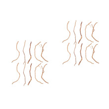 40Pcs Aquarium Driftwood Branches Wood for Freshwater Fish Tank Decor