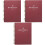 3Pcs Dark Red Planner Notepad Daily Use Stylish Agenda Notebook 5