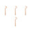 4Pcs Ergonomic Wood Pottery Shaping Tools Chocolate Tone for 4