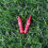4Pièces Garnitures Câble Alliage Durable 4