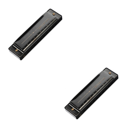 2Pcs 10-Hole Harmonica Musical Instrument For Students