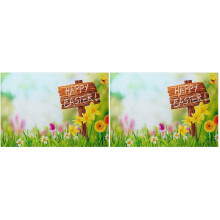 2Pcs Multi Easter Vinyl Photography Backdrop for Party Wall Decor