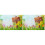 2Pcs Multi Easter Vinyl Photography Backdrop for Party Wall Decor 1