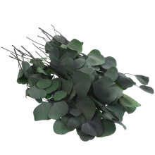2Pcs Dried Green Eucalyptus Leaves Stems for DIY Floral Crafts