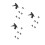 18Pcs Black Plastic Watering Can Sprayer Heads Even Water Distribution 4