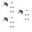 18Pcs Black Plastic Watering Can Sprayer Heads Even Water Distribution 5