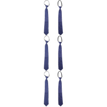 6Pcs Blue Polyester Silk Zipper Neck Ties Men Business Neckties