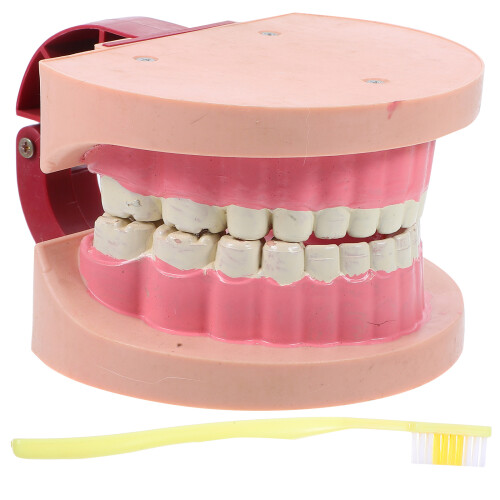 5Pcs Compact Plastic Toy for Kids Science Lab and Education 1