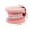 5Pcs Compact Plastic Toy for Kids Science Lab and Education 10