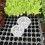 12Pcs Durable Plastic Hydroponic Plant Baskets for Balcony Garden Use 11