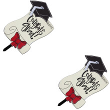 2Pcs Multi Graduation Party Yard Sign Durable Acrylic Grad Lawn Stake