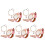5Pièces Enfants Quartz Multicolores Bracelet 1