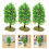 6Pcs Artificial Fruit Tree Models for DIY Train Scenery 10
