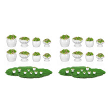 16Pièces Décorations Multicouleurs Plantes Miniatures Pour Paysage