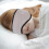 5Pcs Adjustable Grey Sleeping Earmuffs Comfortable Winter Ear Warmers 9