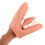 2Pcs Human Tooth PVC Model Assorted Color Practical Teaching 3