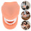 2Pcs Human Tooth PVC Model Assorted Color Practical Teaching 9