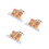 3Pcs Assorted Color Skin Anatomy Models Plastic Medical Teaching Tools 3