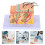 3Pcs Assorted Color Skin Anatomy Models Plastic Medical Teaching Tools 8