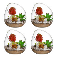 4Pièces Conteneur En Transparent Décoratif Pour Plantes