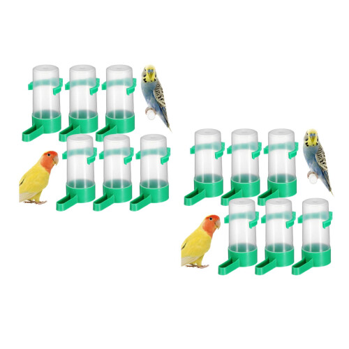 20Pièces Distributeur D'eau Vert Unique Pour Pigeons Petits Oiseaux