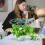 6Pcs Ppe Material Plants Support Stand Green Climbing 10