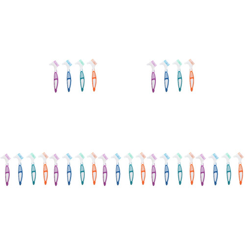 28Pièces Dentier Nettoyante Double Tête Usage