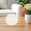 2Pcs Transparent Plastic Fish Bowls Small Portable Decorative Tanks 4