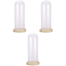3Pièces Dome Verre Transparent Base Bois Accessoire Pour Séchée