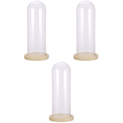 3Pièces Dome Verre Transparent Base Bois Accessoire Pour Séchée