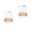 Office Pushpins Multi Color Wood Plastic Alloy with Storage Box 8