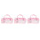 3Pcs Plush Hard Shell Eyeglass Case Cute Bear Design Portable Storage 4