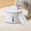 6Pcs Pet Water Dispenser Filter White Plastic Cat Fountain Replacement 6
