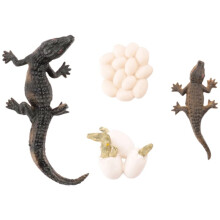 Simulation Alligator Tier Wachstum Lebens Zyklus Modell Kinder Kind Vorschulbildung Kognitive Biologie Spielzeug 2452