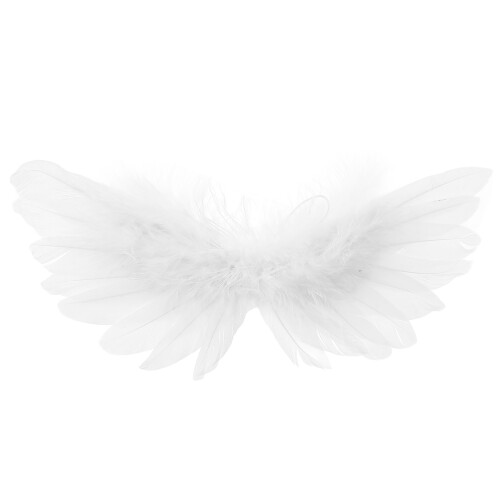 2Pcs Mini Wings for Bjd Doll Accessories 2