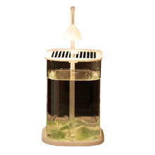 -Akvarium i Glas med LED-Ljus och Färgad Kristall, Bordsdekorationer, Exklusiv Prydnadslampa