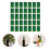 Capsules Green 100pcs 1.9in Height 1.3in Diameter 10