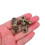 4Pcs Mini Swing Arm Clasp Latch Antique Bronze Metal Lock for Boxes 4