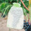 500Pcs Multi-Use Green Fruit Mesh Bags with Drawstring Closure 6