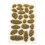 Durable Resin Grass Tufts for Miniatures and Model Train Layouts 2