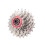 24 Freewheel Type Flywheel Gear Cassette 5
