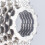 24 Freewheel Type Flywheel Gear Cassette 8