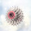 24 Freewheel Type Flywheel Gear Cassette 11