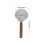 Stainless Steel Pizza Roller Cutter Wooden Handle Kitchen Tool 2