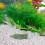 30Pcs Olive Breeding Spawning Mops Natural Habitat Aquarium 4
